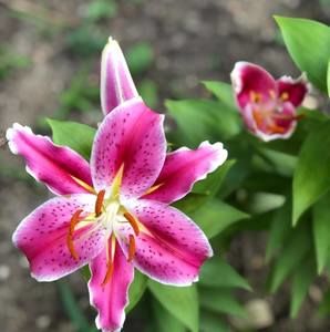 Meet your Posher, Gaby